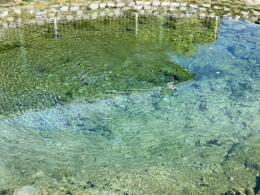 Nadi: Mud Pool and Hot Spring Private Tour - Hot spring soak: wash off gently, slow your mind, and enjoy the mountain backdrop