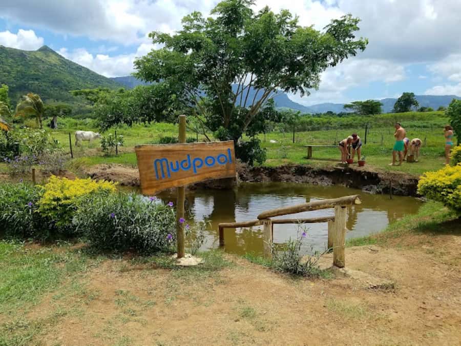 Nadi: Mud Pool and Hot Spring Private Tour - Optional full body massage: when it’s worth adding