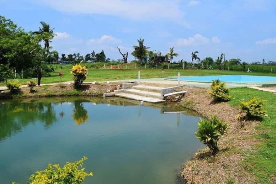 Nadi: Mud Pool and Hot Spring Private Tour - Price and timing: what $49 gets you, and how to judge value