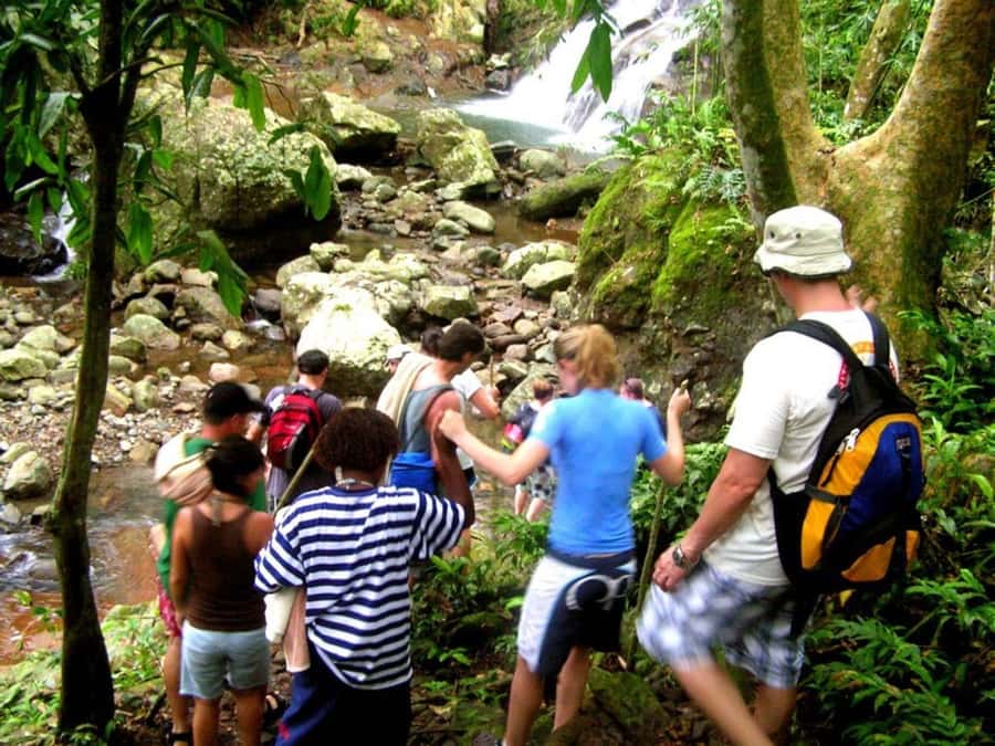 NADI: Nalesutale Village Half Day Tour - Why Nalesutale Village feels like more than a stop on a tour