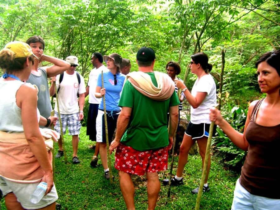 NADI: Nalesutale Village Half Day Tour - The Mount Batilamu rainforest trek and herbal medicine walk