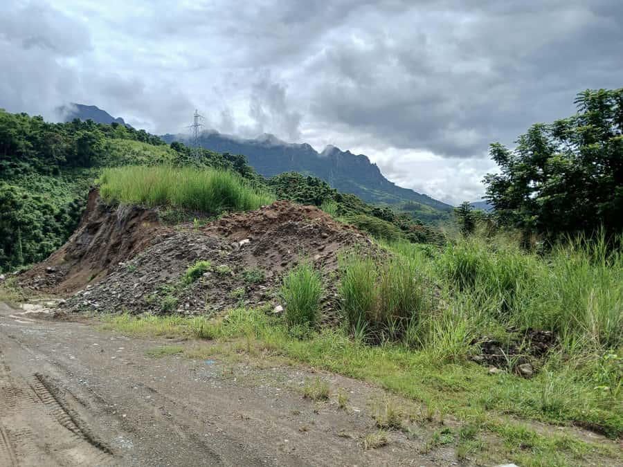 NADI: Nalesutale Village Half Day Tour - Village lunch: local food, local rhythms, and the comfort trade-off