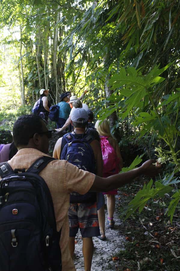 NADI: Nalesutale Village Half Day Tour - What to bring, and what to avoid in the rainforest