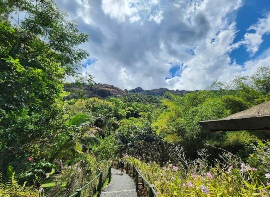 Nadi: Private Tour with Temple, Garden, Markets & Mud Pools - Orchid Country at the Garden of the Sleeping Giant