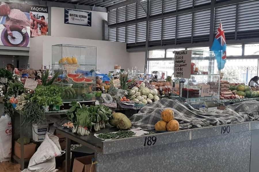 Nadi: Private Tour with Temple, Garden, Markets & Mud Pools - Price and What You Actually Get for $115