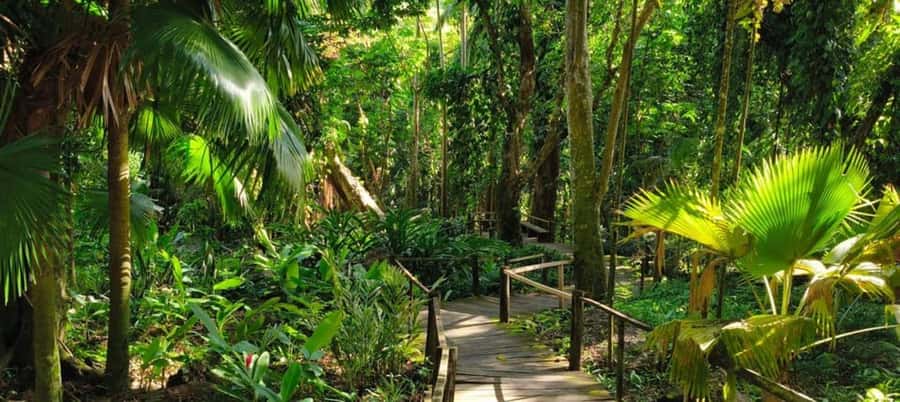 NADI-SABETO: Exquisite Orchid Garden with Hotspring Mudpool - From Nadi to Sabeto, pickup is part of the experience
