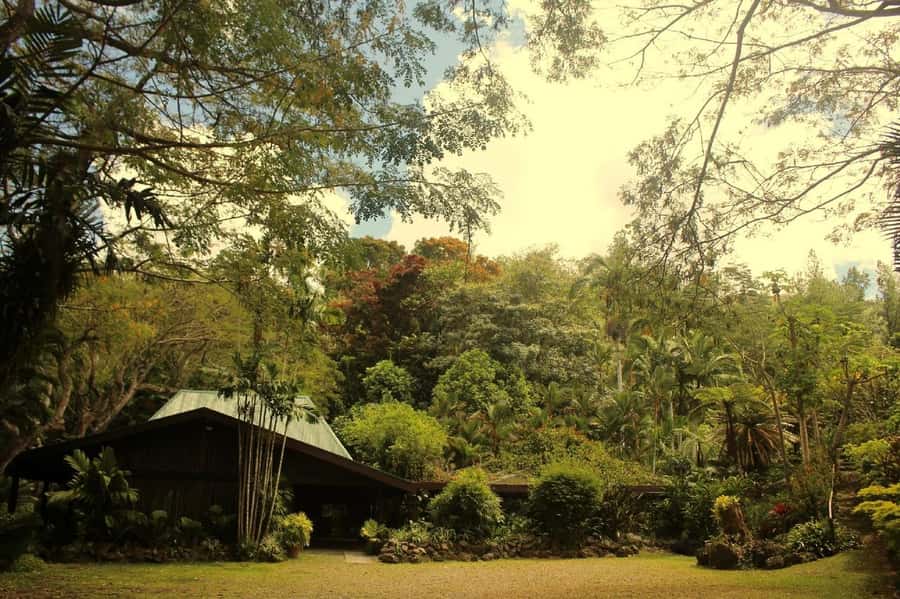 NADI-SABETO: Exquisite Orchid Garden with Hotspring Mudpool - After the baths: comfort, hydration, and what to bring