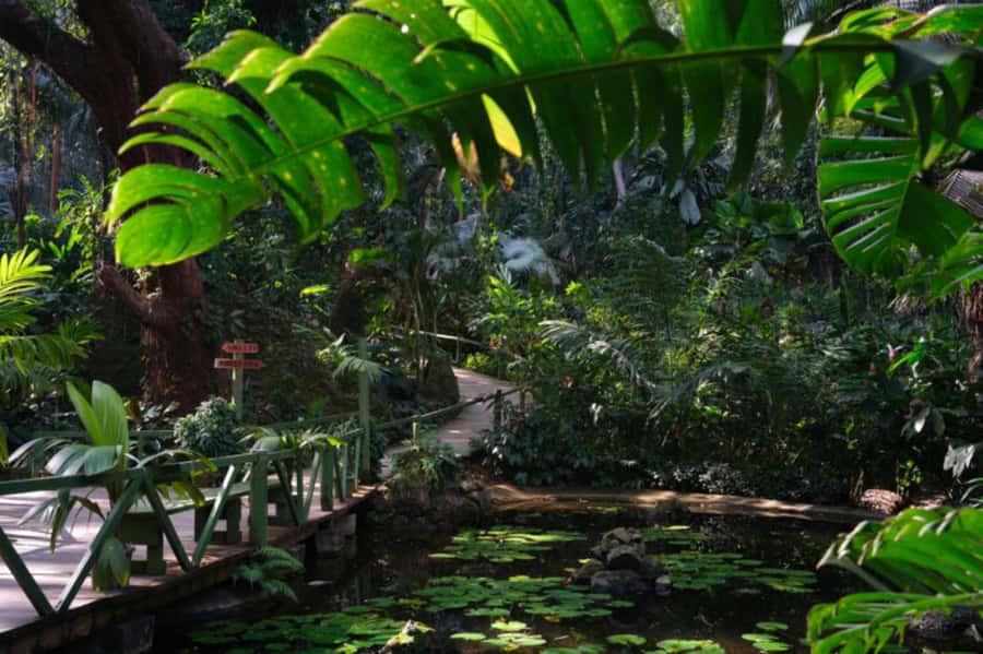NADI-SABETO: Exquisite Orchid Garden with Hotspring Mudpool - FAQ