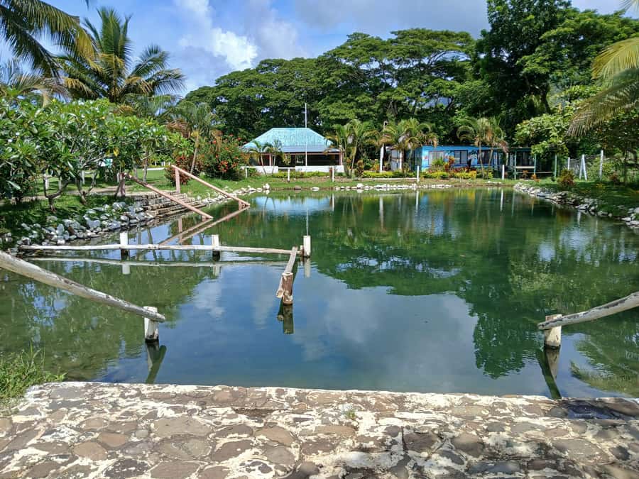 NADI-SABETO: Tifajek Hot Spring and Mudpool Natural Spa - Why Tifajek mud wrap and hot pools feel different from a standard soak