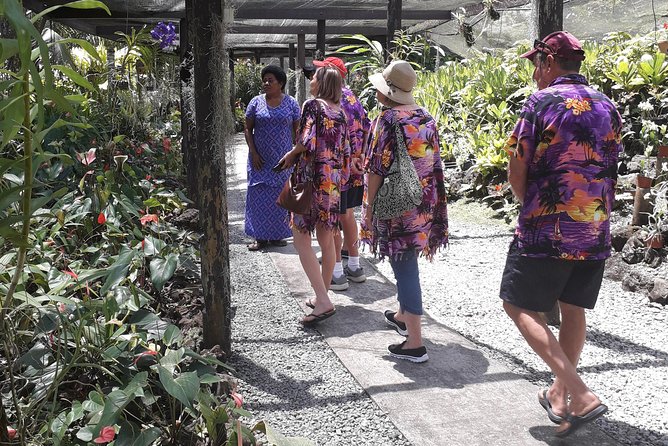 Nadi Sightseeing Including Viseisei Lookout, Village Tour, Garden & Temple Tour - Why This Nadi Sightseeing Loop Works So Well
