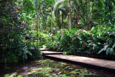 Nadi Sightseeing Including Viseisei Lookout, Village Tour, Garden & Temple Tour