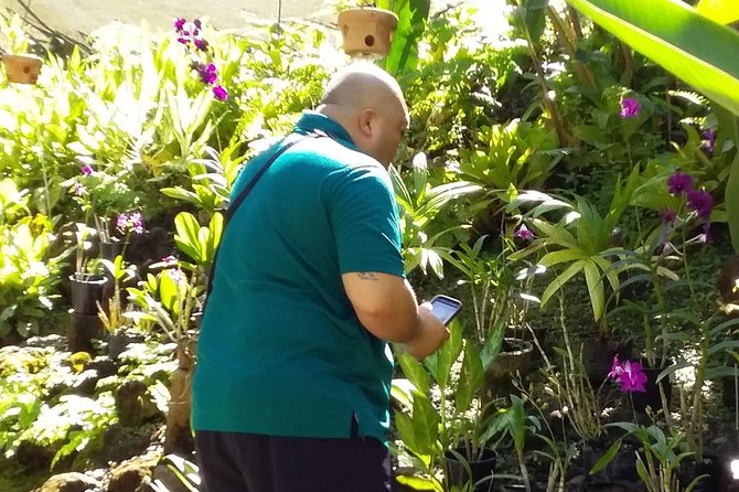 Nadi Sightseeing Including Viseisei Lookout, Village Tour, Garden & Temple Tour - Stop 5: Sri Siva Subramaniya Swami Temple and the Murals You Should See