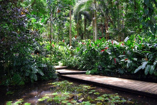 Nadi Sightseeing Including Viseisei Lookout, Village Tour, Garden & Temple Tour - Before You Go: Timing, Weather, and What to Pack