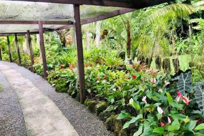 Nadi Sightseeing & Mud Pool Tour – Ex Fiji Marriott, Momi Bay