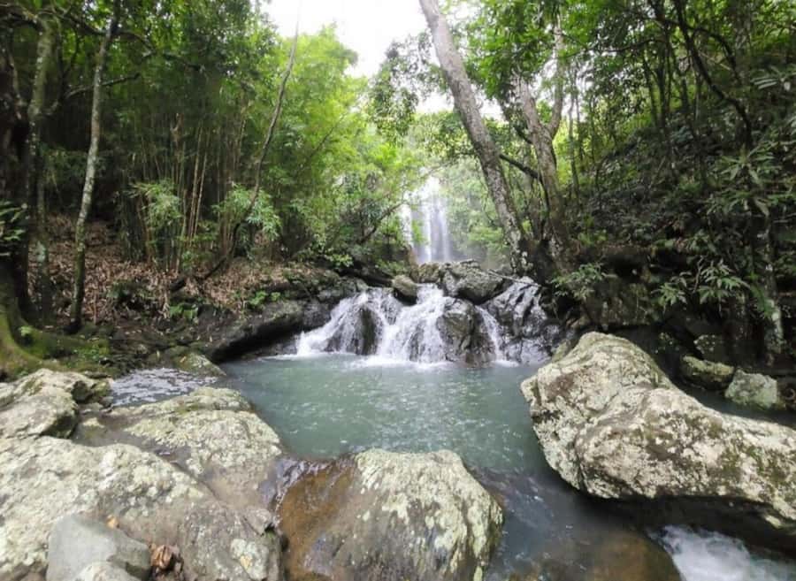 Nadi: Waterfall Tour Adventure with Refreshments and Lunch - Three Pools and the Nadi Waterfall: Exactly How the Swim Stops Work