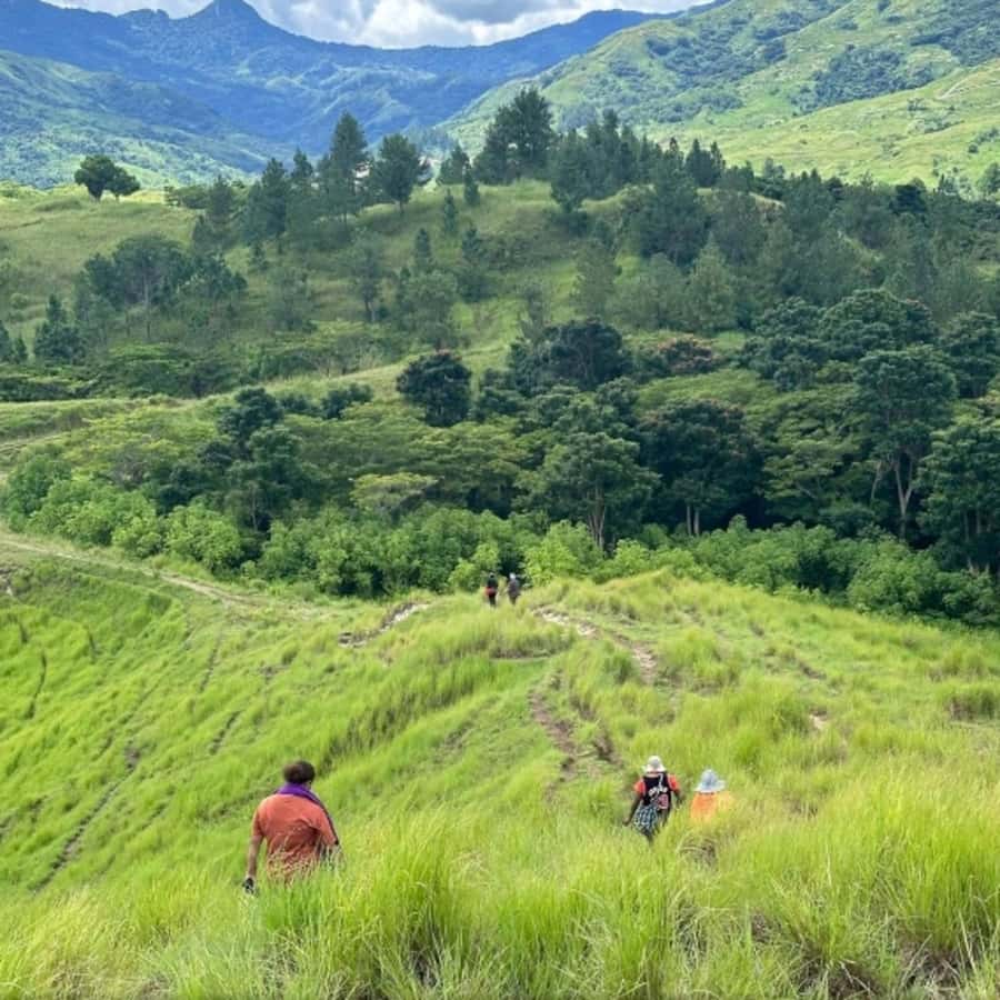 Nadi: Waterfall Tour Adventure with Refreshments and Lunch - Price and Value at $140 for a 5-Hour Nadi Adventure
