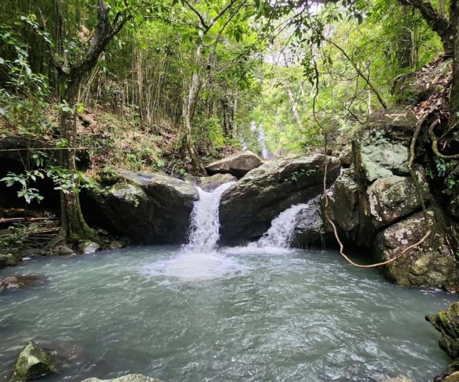 Nadi: Waterfall Tour Adventure with Refreshments and Lunch - Coconut Water Break at the Campsite Before the Falls