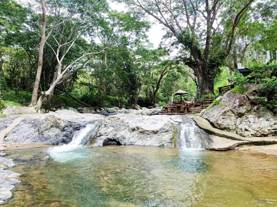 Nadi: Zipline, Waterfalls, and Jungle Safari Tour with Lunch - Key Points at a Glance