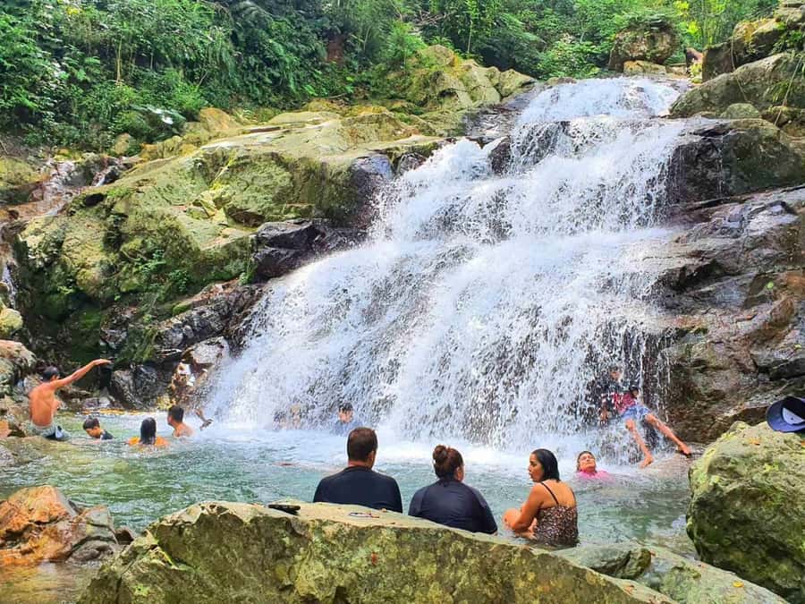 Nadi: Zipline, Waterfalls, and Jungle Safari Tour with Lunch - Zipline Over Fiji’s Jungle Canopy, Without It Feeling Like a Factory Ride