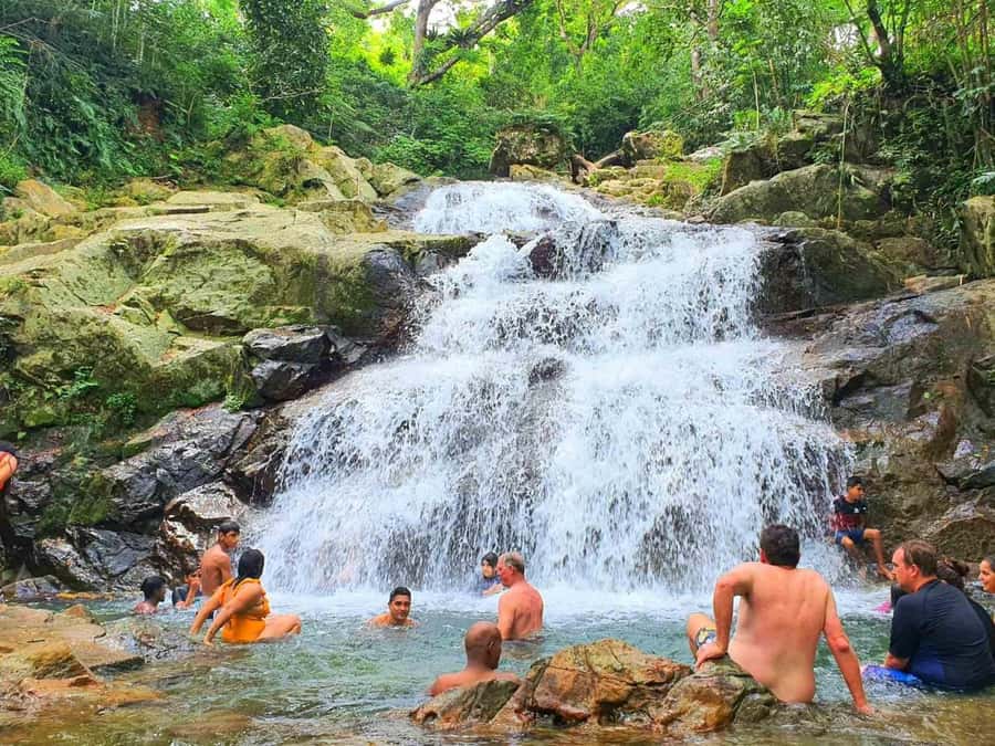 Nadi: Zipline, Waterfalls, and Jungle Safari Tour with Lunch - The Transfers, Who They Suit, and Where Extra Fees Can Happen