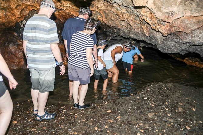 Naihehe Cave Safari in Sigatoka with BBQ Lunch - Naihehe Cave, walking the formations you came for