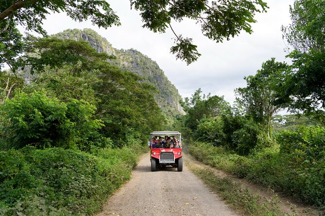 Naihehe Cave Safari in Sigatoka with BBQ Lunch - Price and value, what you’re really paying for