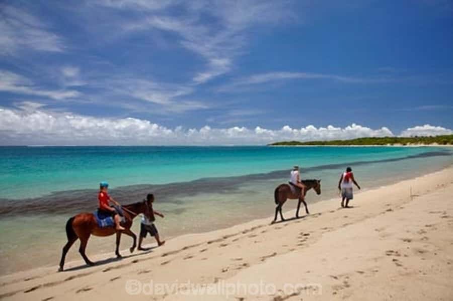 Natadola Beach Tour With Tifajek Mud Pool & Hotspring - What to bring, what not to bring, and how to avoid getting stuck