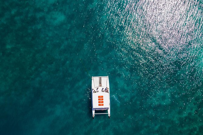 Oolala Cruises on Savala Island - Food and drinks: buffet lunch plus morning and afternoon tea