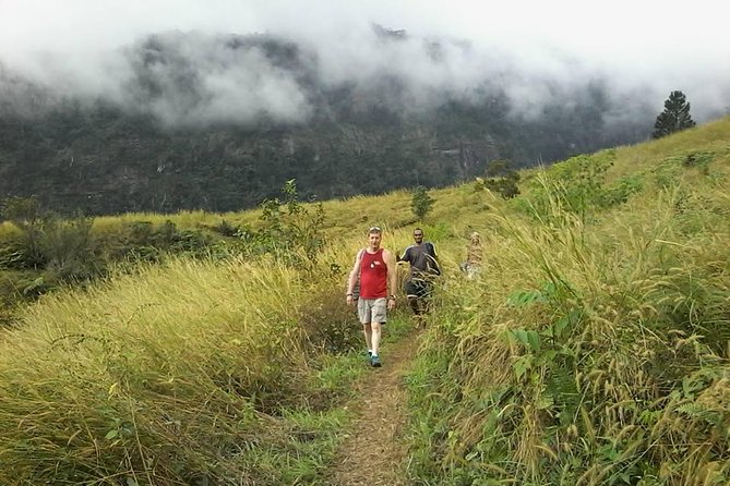 Private Breathtaking Koroyanitu Half Day Waterfall Hike - Key Highlights Worth Booking for