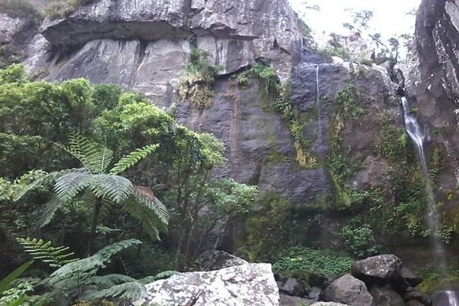 Private Breathtaking Koroyanitu Half Day Waterfall Hike - Why Koroyanitu’s Waterfall Hike Feels Like Real Fiji, Not a Detour