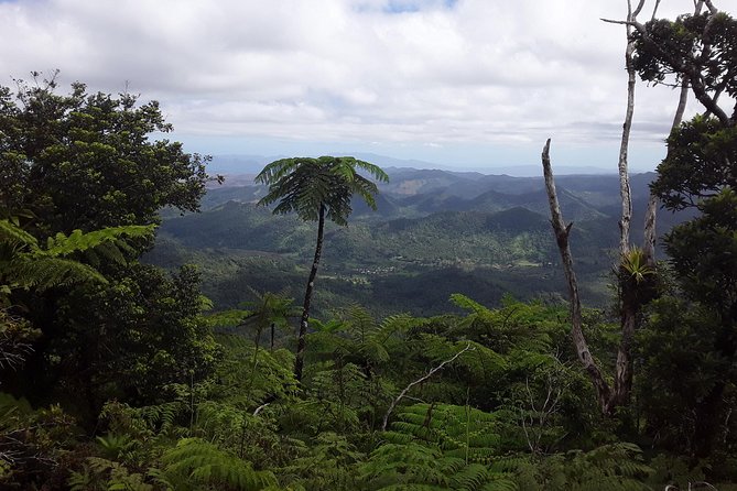 Private Breathtaking Mnt Victoria Day Trek - Tavua breakfast stop: short, useful, and free