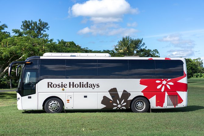 Private Premium Departure Transfer : Hotel to Nadi Airport - Price and Value: Is $68.99 Reasonable for a Private Car?