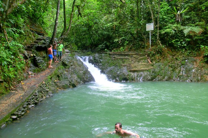 Private Suva Nature and Waterfall Tour - Why This Rainforest-and-Waterfalls Stop Works So Well in Suva