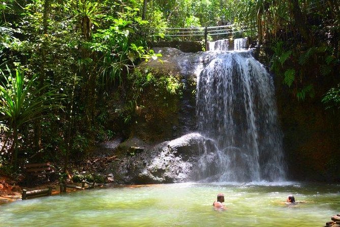 Private Suva Nature and Waterfall Tour - Pickup, Getting Moving, and How the Timing Usually Feels