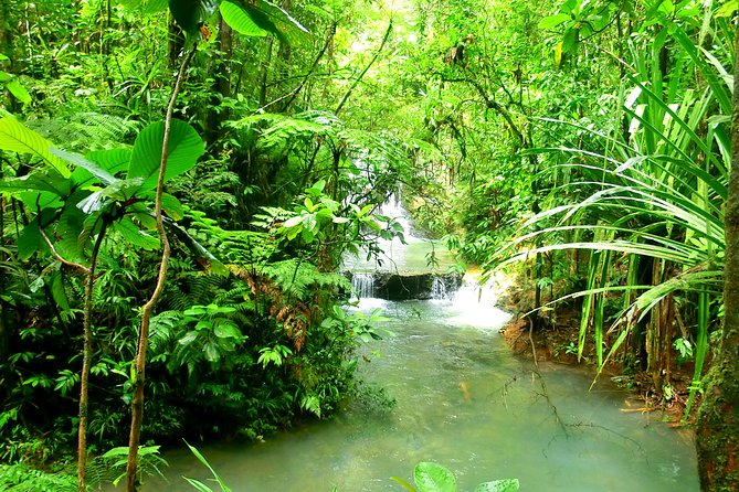 Private Suva Nature and Waterfall Tour - Water Shoes and Slippery Steps: Staying Comfortable in the Rainforest