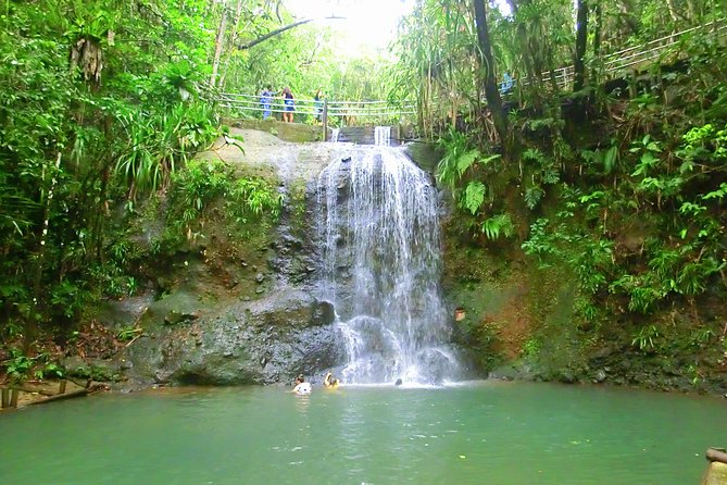 Private Suva Nature and Waterfall Tour - Guides Who Explain and Adjust: Peter, Joel, and Janet’s Impact