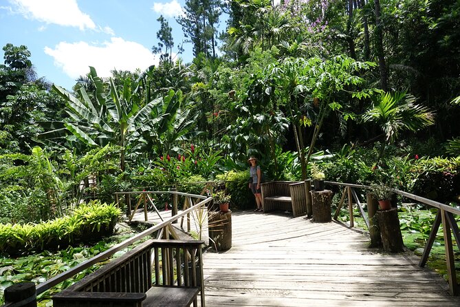 Private Tour: Best of Nadi Highlights - Stop 1: Garden of the Sleeping Giant orchids and calm walking