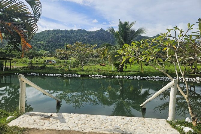 Private Tour: Hot spings & Sleeping Giant Garden hiking Adventure - The add-on question: massage at the mud pool