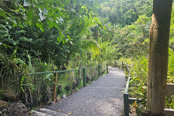 Private Tour: Hot spings & Sleeping Giant Garden hiking Adventure - The fruit and vegetable market stop for traditional Fijian ingredients