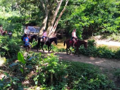 Private Tour: Pacific’s Largest Dunes & Famous Waterfall