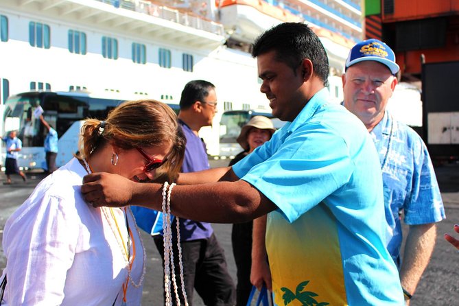 Private Transfer: Nadi Airport to Double tree Resort by Hilton - Private, Name-Sign Pickup for Groups Up to 15