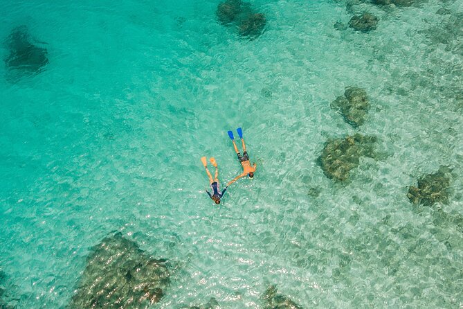 Ride & Slide by South Sea Cats - Half Day Snorkelling Trip - What to bring, plus the simple rules that keep it easy