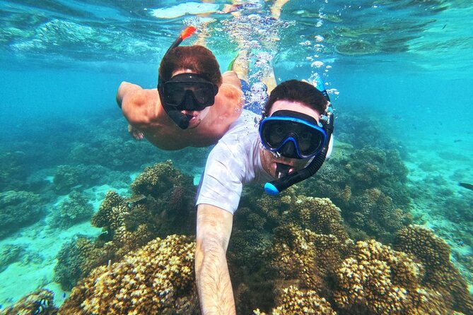 Ride & Slide by South Sea Cats - Half Day Snorkelling Trip - What the $107.10 price buys you in real terms