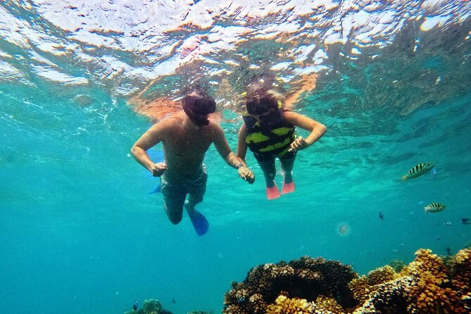 Ride & Slide by South Sea Cats - Half Day Snorkelling Trip - Group size and crew attention: why it feels less chaotic than larger boats