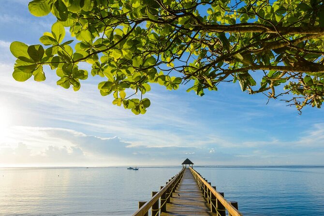 Round The Island Day Trip Fiji- Viti Levu - Sigatoka Sand Dunes: a small national park, big sand-hike energy
