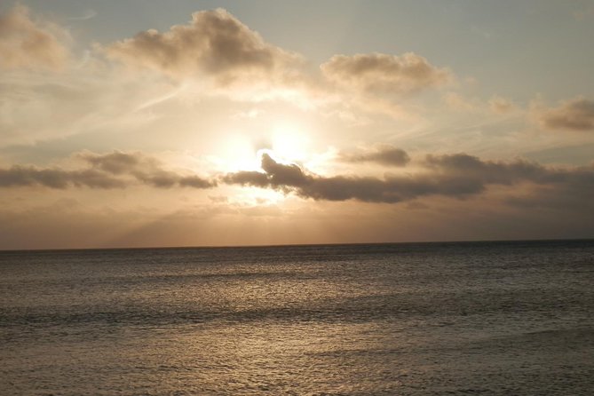 Round The Island Day Trip Fiji- Viti Levu - Maui Bay Shopping Centre and the sea-jetty moment for marine life