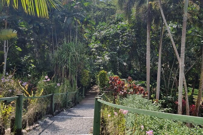Round The Island Day Trip Fiji- Viti Levu - Suva capital time: use the 1 hour wisely for lunch and city browsing