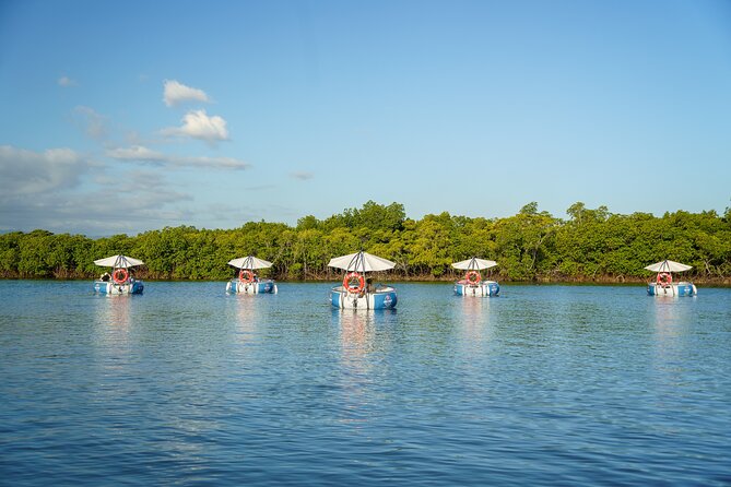 Self Drive BBQ eBoat Cruise with Onboard BBQ Denarau Fiji - Why a self-drive electric BBQ eBoat from Denarau feels different