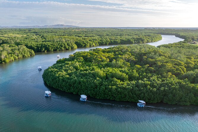 Self Drive BBQ eBoat Cruise with Onboard BBQ Denarau Fiji - Port Denarau Marina, meeting point, and what to expect right away