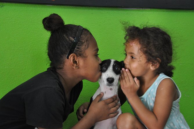 Shelter Visit & Tour - Key Takeaways
